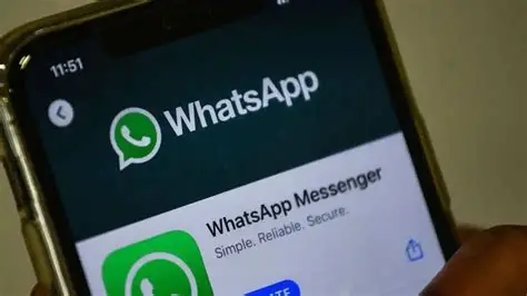 WhatsApp图片自动保存揭秘:你真的知道吗?