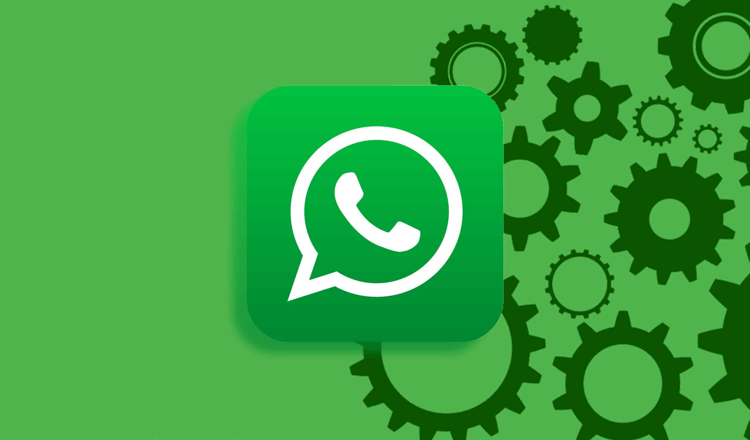 WhatsApp网页版怎么用?手把手教你避开下载坑